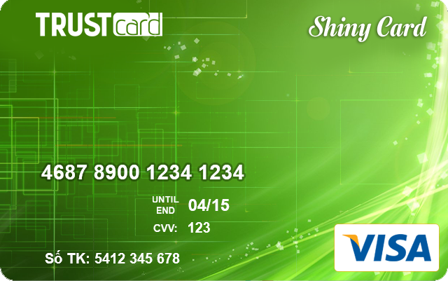 phatdailoi2007.com Visa-Shiny-card